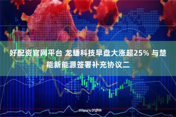 好配资官网平台 龙蟠科技早盘大涨超25% 与楚能新能源签署补充协议二