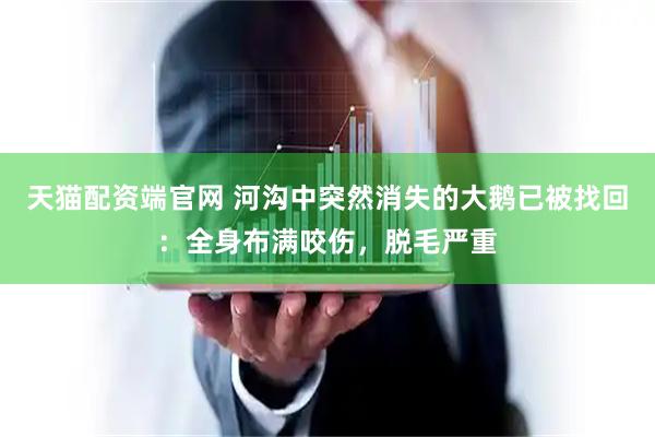 天猫配资端官网 河沟中突然消失的大鹅已被找回：全身布满咬伤，脱毛严重