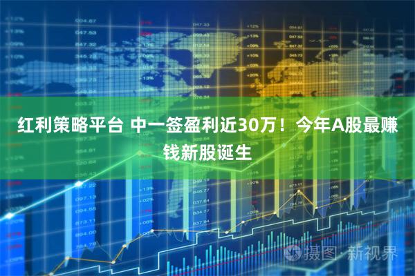 红利策略平台 中一签盈利近30万！今年A股最赚钱新股诞生